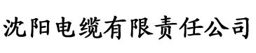 在异世界迷宫里开宫电缆厂logo